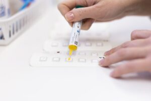 Practical assessment